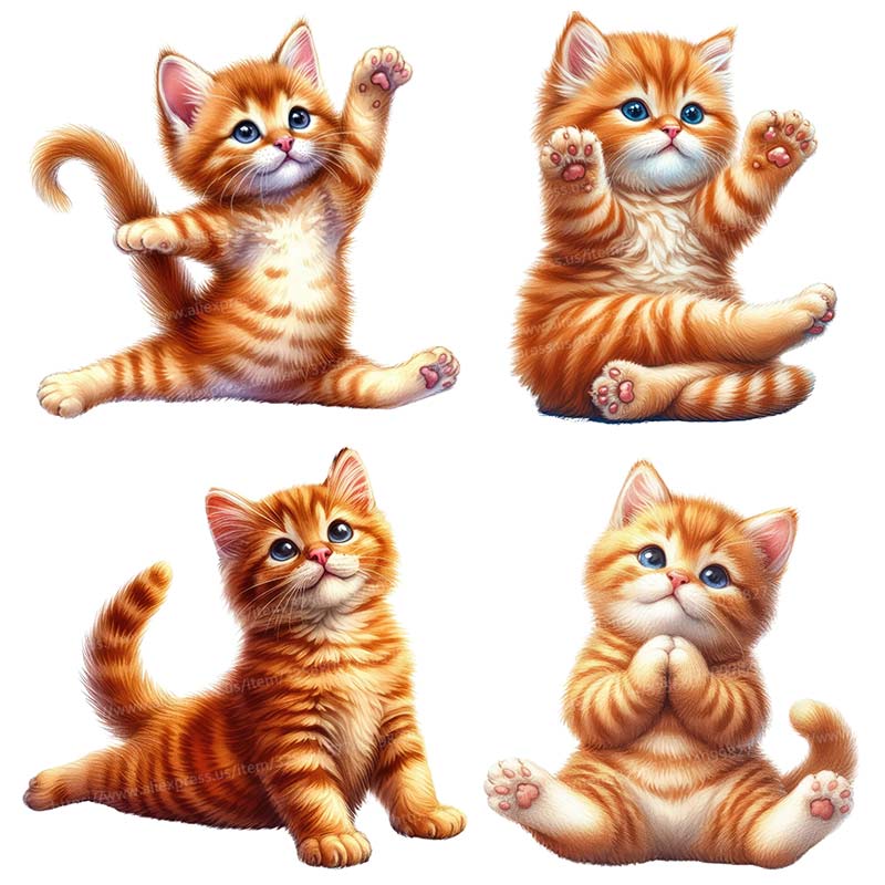 ملصق حائط قطة لليوجا قابل للإز - مراجعة Home Office Yoga Room وسعره