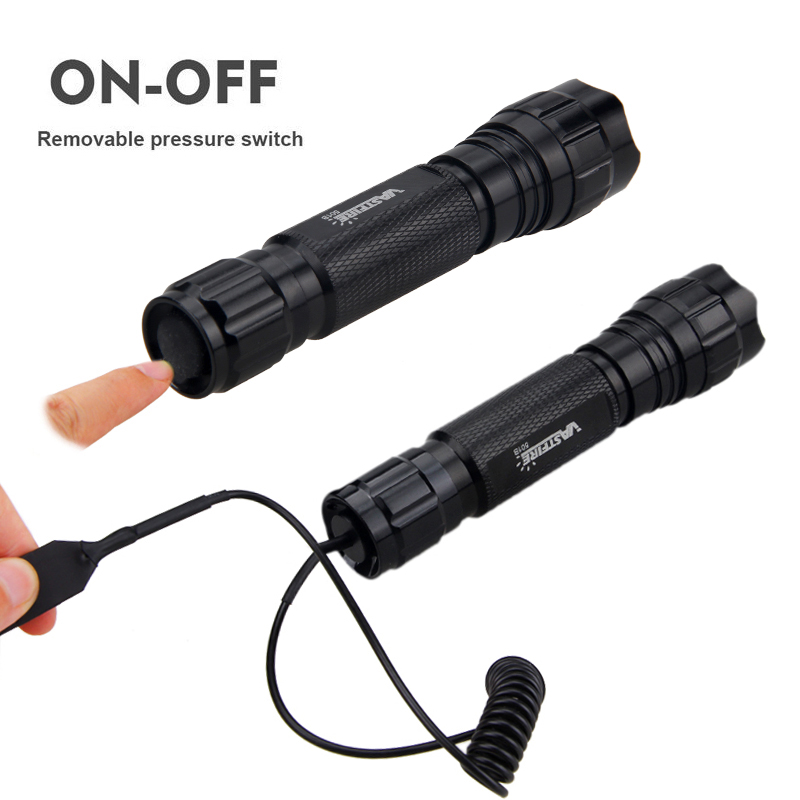 مجموعة صيد احترافية ، فانوس تك - مراجعة Zoom Lighting Kit وسعره